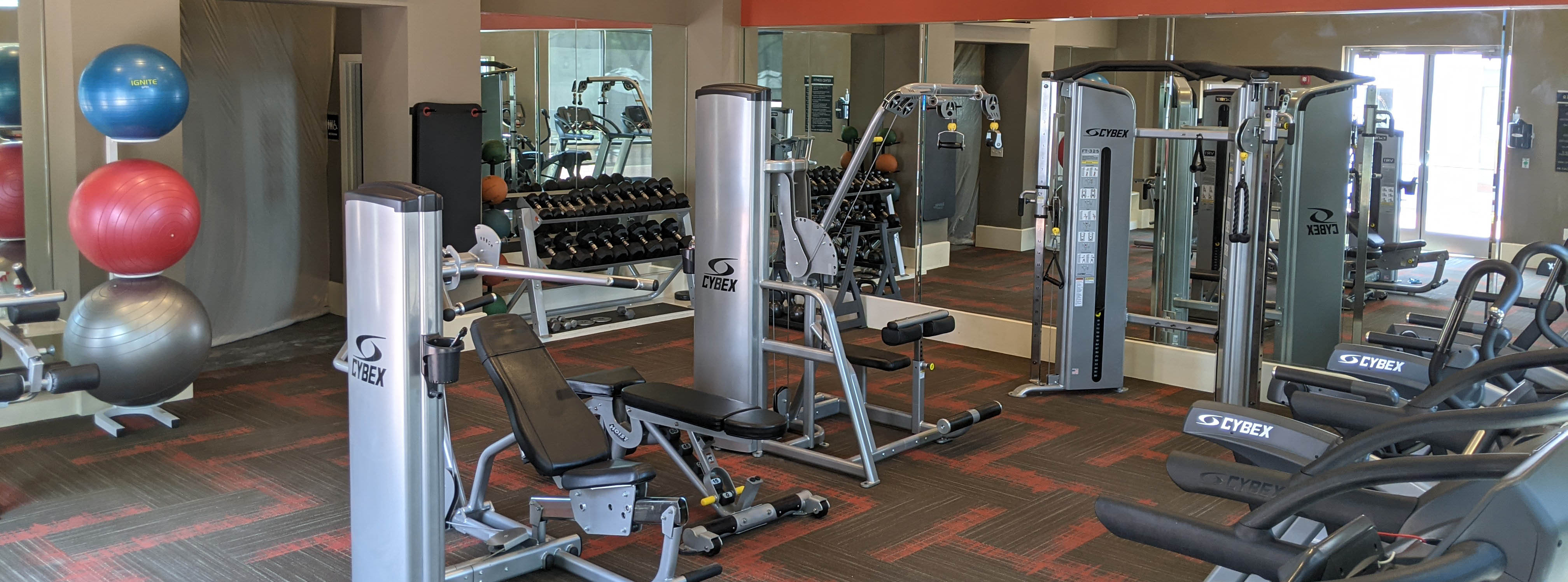 Fully equipped fitness centeer with treadmills, elipticals, weight machines, etc